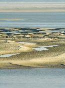 The Estuary at Low Tide, Baie de Somme - 2